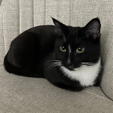 Profile photo of k m