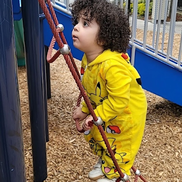 Profile photo of shireen Alnabelai