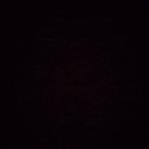 Profile photo of Fadumo